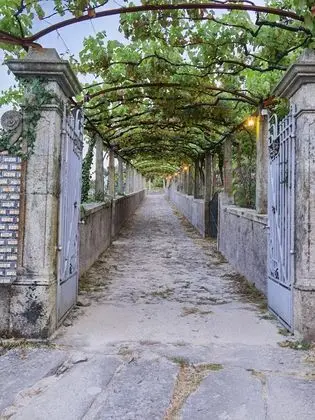REGINA - QUINTA SAO FRANCISCO RURAL RESORT