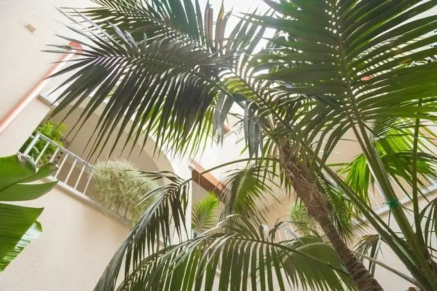 Regina Simius Hotel - Dış Mekan