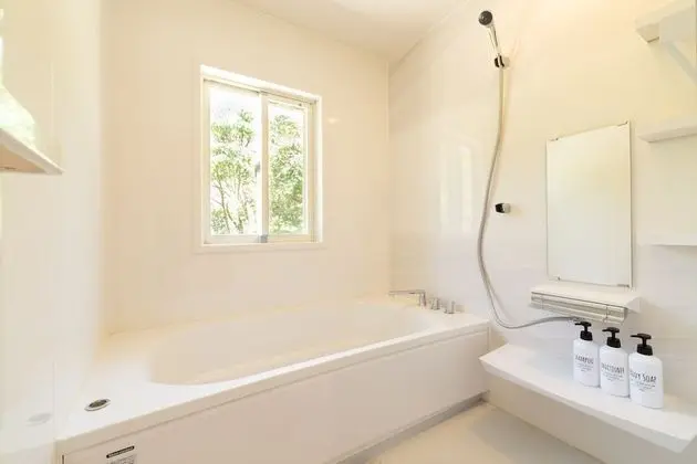 reginaishigakilogterior1 - Banyo Özellikleri