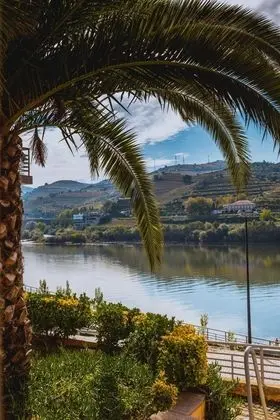 Regua Douro - Plaj