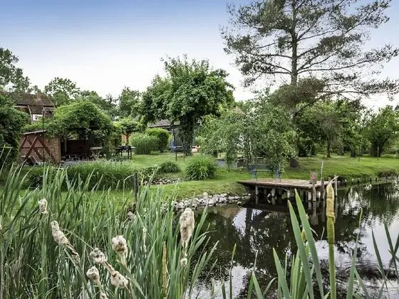 Rekowo Rekowo in Rekowo