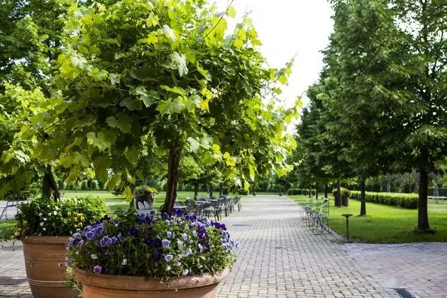Relais Cascina Scottina - Dış Mekan