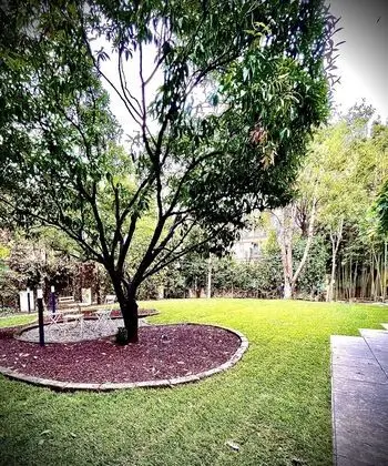 Relais Clivo Vaticano - Dış Mekan
