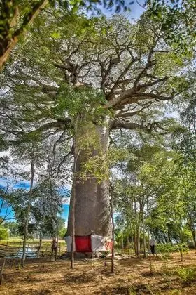 Relais Du Kirindy - Dış Mekan
