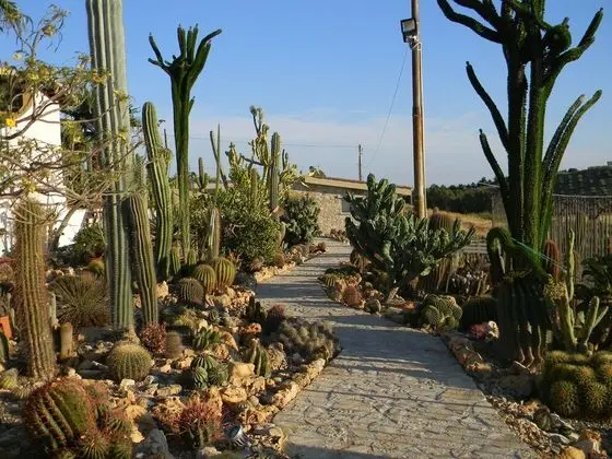 Relais Garden Cactus B&B - Dış Mekan