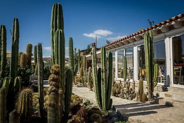 Relais Garden Cactus B&B - Dış Mekan