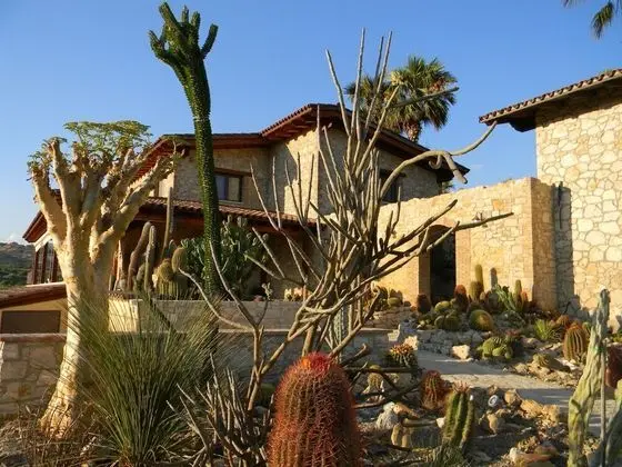 Relais Garden Cactus B&B - Havuz