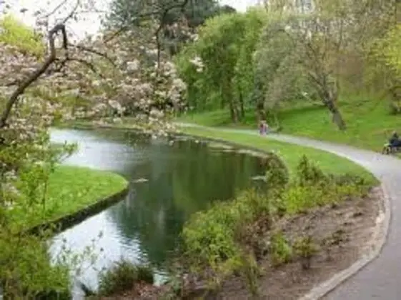 Remarkable 2-bed Apartment in Leafy Sefton Park - Dış Mekan