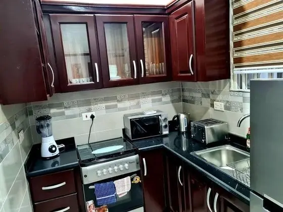 Remarkable 2bed Apartmt at Adenta - Wifi - Mutfak