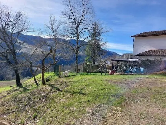 Remarkable 3-bed Cottage in Tortola