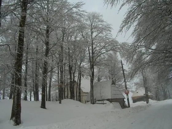Remarkable 3-bed House in Zabljak - Öne Çıkan Resim