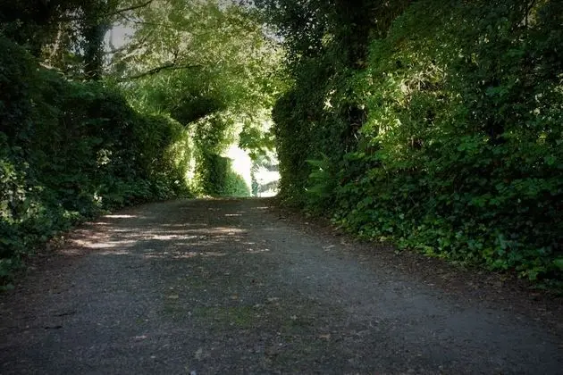 Remarkable Apartment in Kenmare, Ireland - Dış Mekan