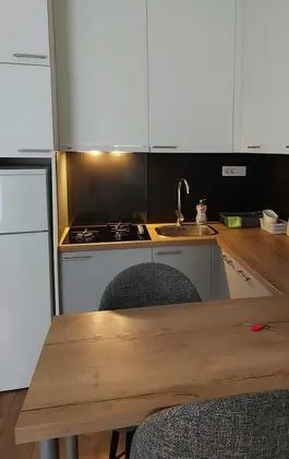 Remarkable Studio Apartment in Zagreb Center - Mutfak