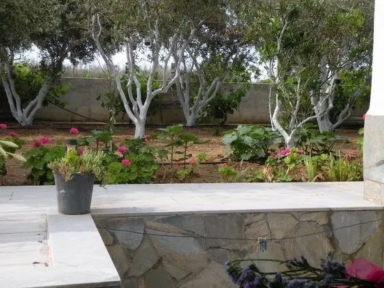 Remvi Studios - Dış Mekan