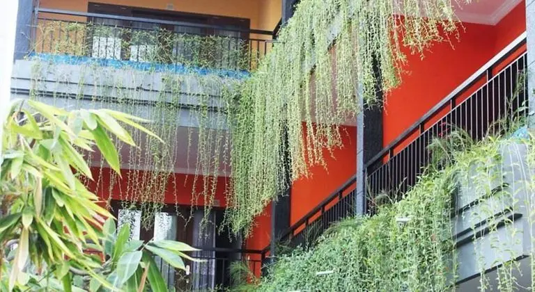 Rena Segara House - Dış Mekan