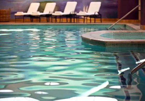 Renaissance Dallas Richardson Hotel - Havuz