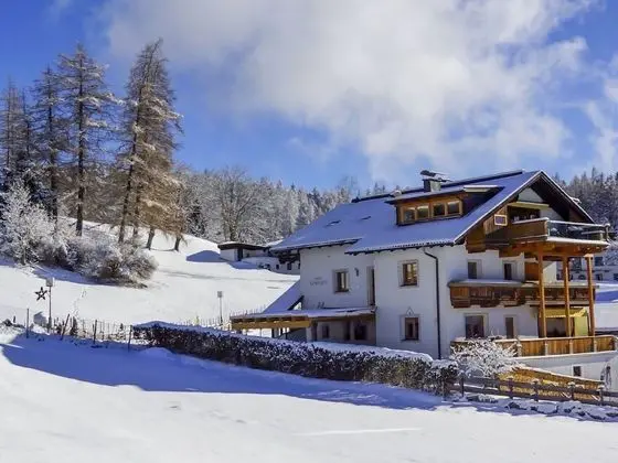 Renauer Telfs in Telfs