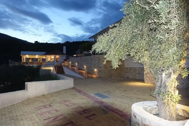 Hotel Rene - Havuz
