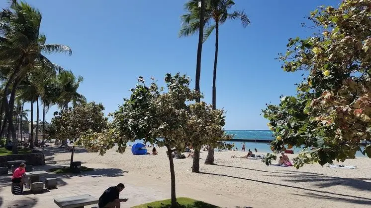 Renovated one bedroom 2 min to the beach - Plaj