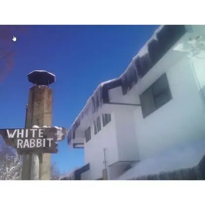 Rental Lodge WHITE RABBIT Madarao kogen Cottage RABBIT - Dış Mekan