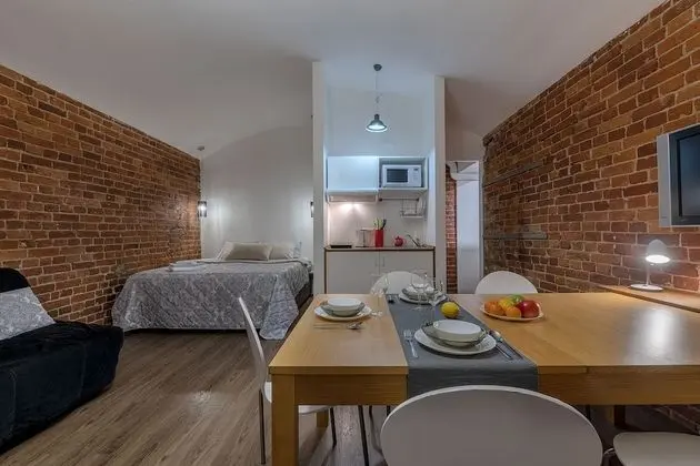 RentalSPb 4 City bridge