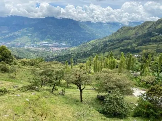 Reserva Tororoi