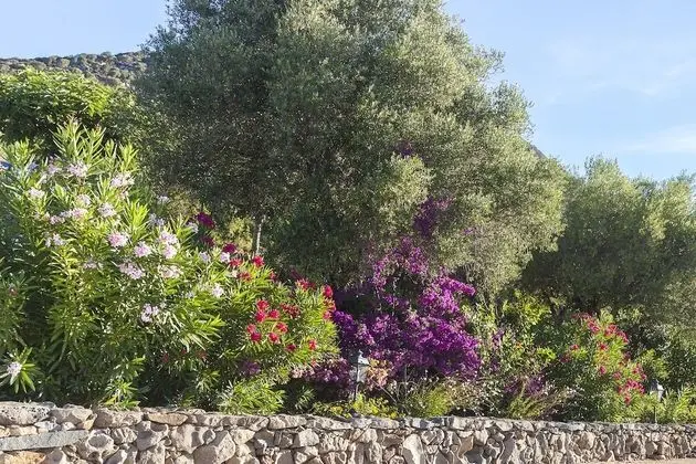 Résidence Arco Plage - Dış Mekan
