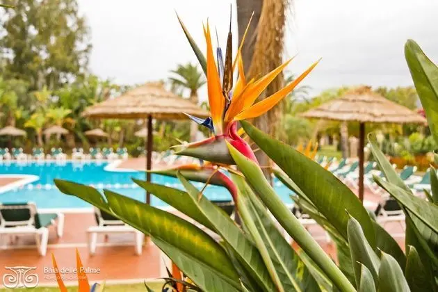 Residence Baia delle Palme - Havuz