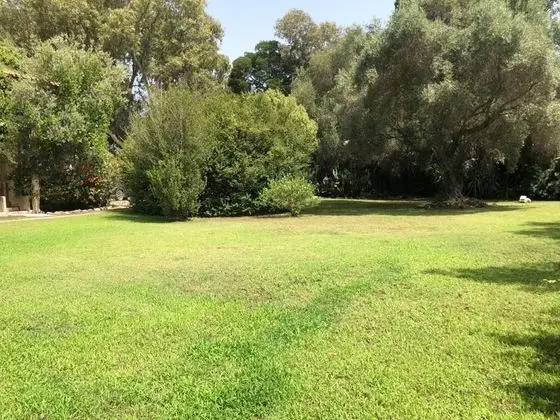 Residence Baia delle Palme - Öne Çıkan Resim