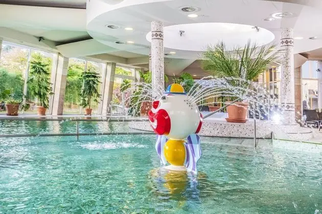 Residence Hotel Balaton - Havuz