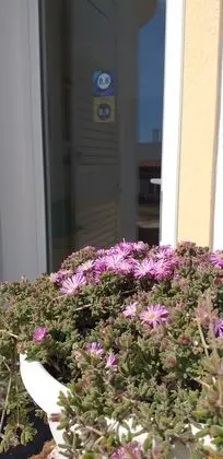 Residence Bellevue - Lobi