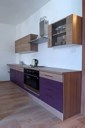 Residence Dobrovskeho 30 - Mutfak