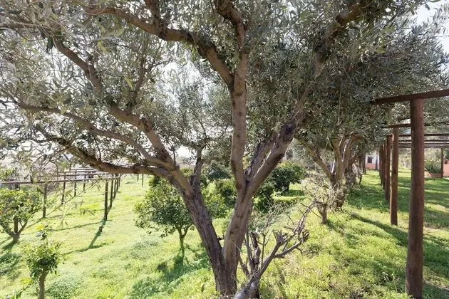 Residence Esmeraldo - Dış Mekan