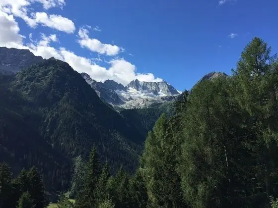 Residence Failoni - Oda Manzaraları