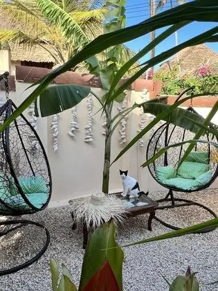 Residence Gadea & Gadea Garden Italian Restaurant - Dış Mekan