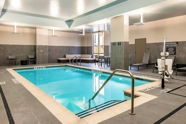 Residence Inn by Marriott Houston Medical Center/NRG Park - Havuz