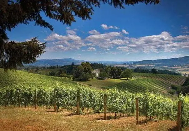 Residence Inn Portland Hillsboro