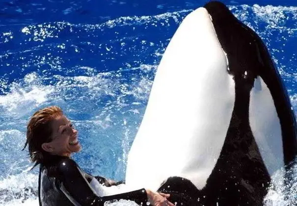 Residence Inn San Diego Carlsbad