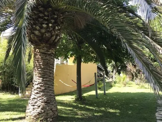 Résidence les Caraibes - Dış Mekan