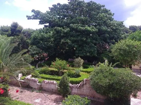 Residence Villa Margherita - Genel