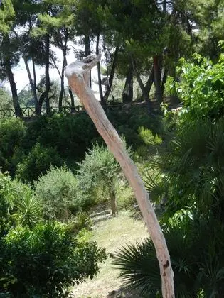 Residence Molino di Mare