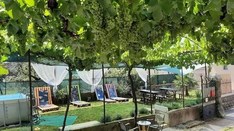 Residence Muzica - Havuz