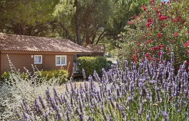 Résidence Odalys Shangri La - Dış Mekan