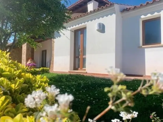 Residence Solaria - 3 - Öne Çıkan Resim