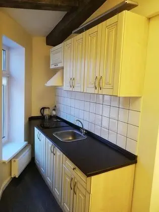 Residence Turgenev - Mutfak