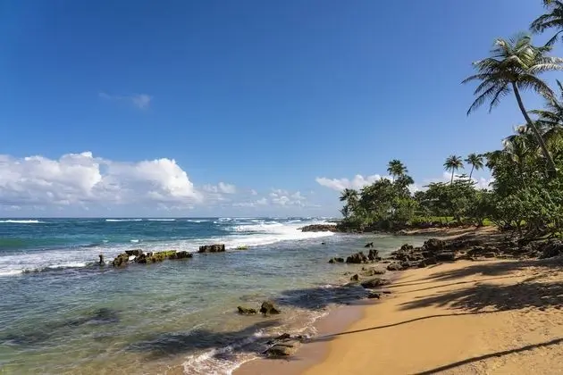 Residences at Dorado Beach, a Ritz-Carlton Reserve - Plaj