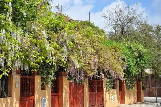 Residenza Le Due Palme - Dış Mekan