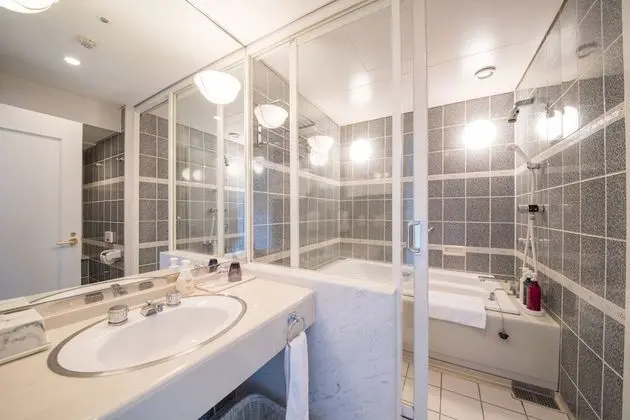 Resol Seimei no Mori - Hotel Trinity Shosai - Banyo Tipleri