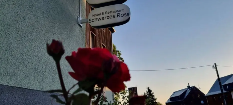 Hotel Restaurant Schwarzes Ross - Dış Mekan