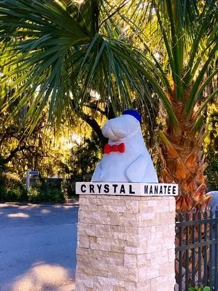 Retreat at Crystal Manatee - Dış Mekan
